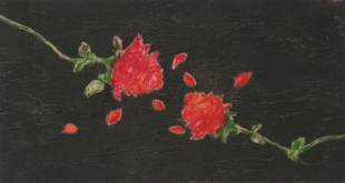 Ermanno Barovero, Due Rose (fondo nero), courtesy Studio Fornaresio